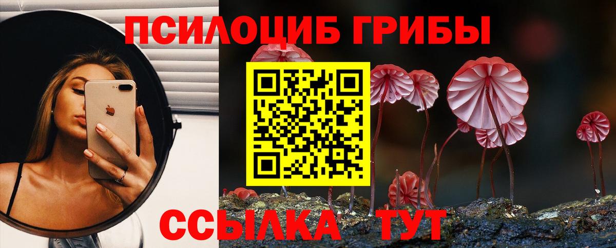 наркотики  Псилоцибиновые грибы Cubensis  Псилоцибиновые грибы мицелий  Вход с VPN  Рославль 